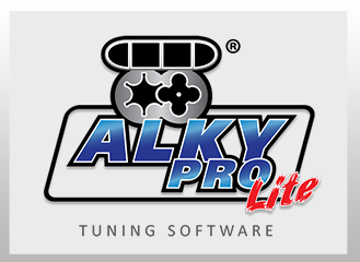 Lite Version - 12 Month License